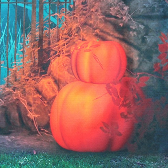 3x5FT 5x7FT Vinyl Halloween Pumpkin Bat Photography Backdrop Background Studio Prop