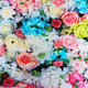 3x5FT 5x7FT Vinyl Pink Blue Rose Wall Photography Backdrop Background Studio Prop 3x5FT 5x7FT Vinyl Pink Blue Rose Wall Photography Backdrop Background Studio Prop