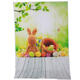 3x5FT Vinyl Bunny Fairy Tale Photography Backdrop Background Studio Prop 3x5FT Vinyl Bunny Fairy Tale Photography Backdrop Background Studio Prop