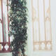 3x5FT Vinyl Green Plant Windows Photography Backdrop Background Studio Prop 3x5FT Vinyl Green Plant Windows Photography Backdrop Background Studio Prop