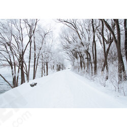 5x7FT Vinyl Winter Snow Road River Side Photography Backdrop Background Studio Prop 5x7FT Vinyl Winter Snow Road River Side Photography Backdrop Background Studio Prop