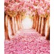 7X5FT Beautiful Flower Street Studio Vinyl Photography Backdrop Background 7X5FT Beautiful Flower Street Studio Vinyl Photography Backdrop Background