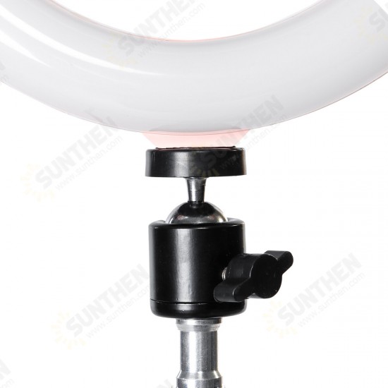 96 LED Ring Light 3 Colors 6500K Studio Photography Photo Selfie Fill Light for iPhone Smartphone Youtube Makeup Live Stream Broadcast 96 LED Ring Light 3 Colors 6500K Studio Photography Photo Selfie Fill Light for iPhone Smartphone Youtube Makeup Live Stream Broadcast