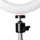 96 LED Ring Light 3 Colors 6500K Studio Photography Photo Selfie Fill Light for iPhone Smartphone Youtube Makeup Live Stream Broadcast 96 LED Ring Light 3 Colors 6500K Studio Photography Photo Selfie Fill Light for iPhone Smartphone Youtube Makeup Live Stream Broadcast