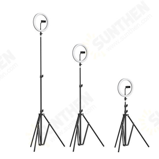 BW-SL2 10 Inch USB LED Ring Light Selfie Tripod for VK Tiktok Youtube Live Makeup with 160cm Stand BW-SL2 10 Inch USB LED Ring Light Selfie Tripod for VK Tiktok Youtube Live Makeup with 160cm Stand