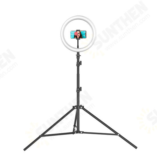 BW-SL2 10 Inch USB LED Ring Light Selfie Tripod for VK Tiktok Youtube Live Makeup with 160cm Stand BW-SL2 10 Inch USB LED Ring Light Selfie Tripod for VK Tiktok Youtube Live Makeup with 160cm Stand