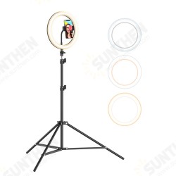 BW-SL2 10 Inch USB LED Ring Light Selfie Tripod for VK Tiktok Youtube Live Makeup with 160cm Stand BW-SL2 10 Inch USB LED Ring Light Selfie Tripod for VK Tiktok Youtube Live Makeup with 160cm Stand
