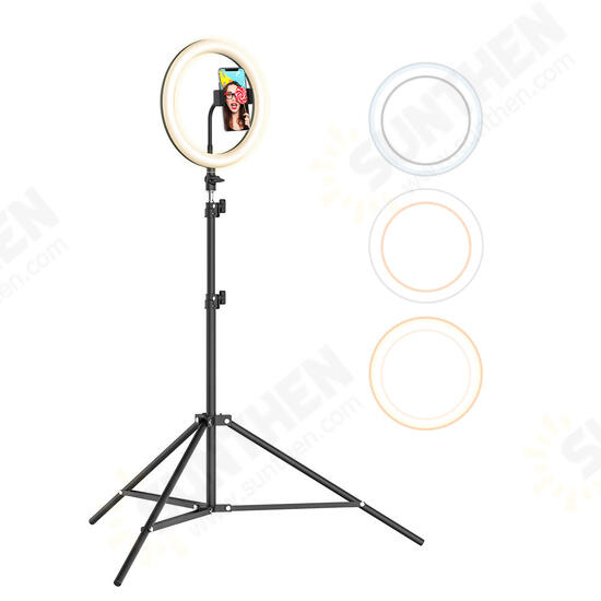 BW-SL2 10 Inch USB LED Ring Light Selfie Tripod for VK Tiktok Youtube Live Makeup with 160cm Stand BW-SL2 10 Inch USB LED Ring Light Selfie Tripod for VK Tiktok Youtube Live Makeup with 160cm Stand