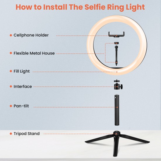 10inch 26CM 3200-6000k Ring Light Dimmable Selfie Ring Lamp for YouTube Tiktok Live Stream Makeup With Tripod Phone Holder