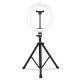 MZ-10 10 Inch Integrated Telescopic Folding Live Fill Light 3 Light Modes 10 Brightness Level Dimmable LED Ring Light for Makeup Photography YouTube Vlog TIK Tok