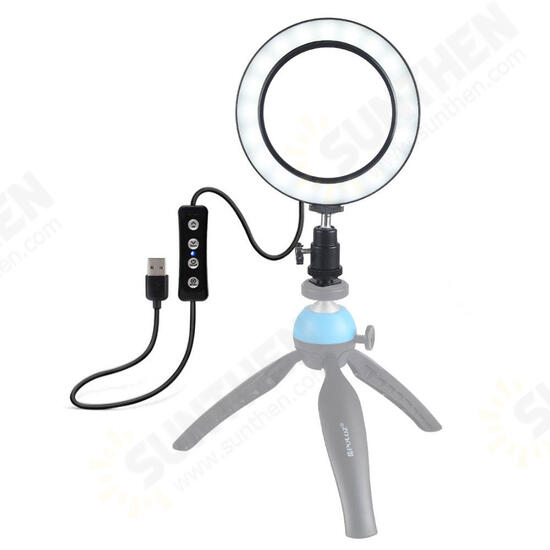 PU378 USB 6.2 Inch 3 Modes 3200K-5500K Dimmable LED Video Ring Light with Cold Shoe Tripod Ball Head for Youtube Tiktok Live Streaming PU378 USB 6.2 Inch 3 Modes 3200K-5500K Dimmable LED Video Ring Light with Cold Shoe Tripod Ball Head for Youtube Tiktok Live Streaming
