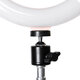RK43 8 Inch 3200K-6500K LED Ring Light Selfie Makeup Mirror Fill Light Photographic Lamp for Youtube Live Broadcast Video Photo RK43 8 Inch 3200K-6500K LED Ring Light Selfie Makeup Mirror Fill Light Photographic Lamp for Youtube Live Broadcast Video Photo