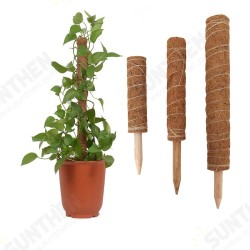 4 Pack Coir Totem Pole Plant Coir Moss Stick Totem Pole for Climmbing Plant Support Extension Climbing Indoor Plants Creepers 4 Pack Coir Totem Pole Plant Coir Moss Stick Totem Pole for Climmbing Plant Support Extension Climbing Indoor Plants Creepers