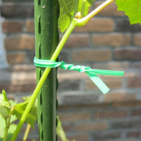 Garden Tie Plastic Wire Binding Line Climbing Plants Cable Flower Cucumber Grape Rattan Holder