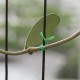 Garden Tie Plastic Wire Binding Line Climbing Plants Cable Flower Cucumber Grape Rattan Holder