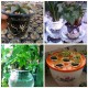 Plastic Mesh Pot Net Basket Hydroponic Aeroponic Flower Container Plant Grow Pot Cup