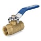 TK201 1/2inch 3/4inch 1inch Female Brass Two Piece Full Port Thread Ball Valves with Vinyl Handle