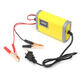 12V 2A Intelligent Battery Charger