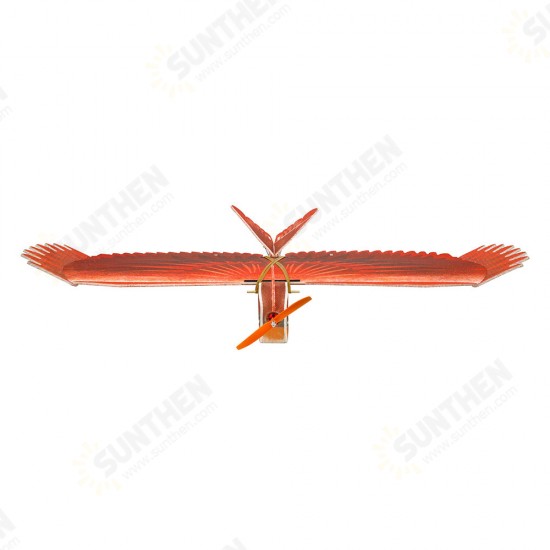 New Biomimetic Northern Cardinal 1170mm Wingspan EPP Foam Slow Flyer RC Airplane KIT/KIT+Motor