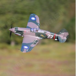 P-40B Flying Tiger 980mm (38.6inch) Wingpspan Warbird EPO RC Airplane PNP