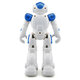 R2 Cady USB Charging Dancing Gesture Control Robot Toy