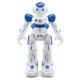 R2 Cady USB Charging Dancing Gesture Control Robot Toy