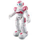 R2 Cady USB Charging Dancing Gesture Control Robot Toy