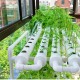 2 Layer 36 Sites Hydroponic Grow Kit Ebb Flow Deep Water Culture Growing DWC Planting Garden Vegetable System