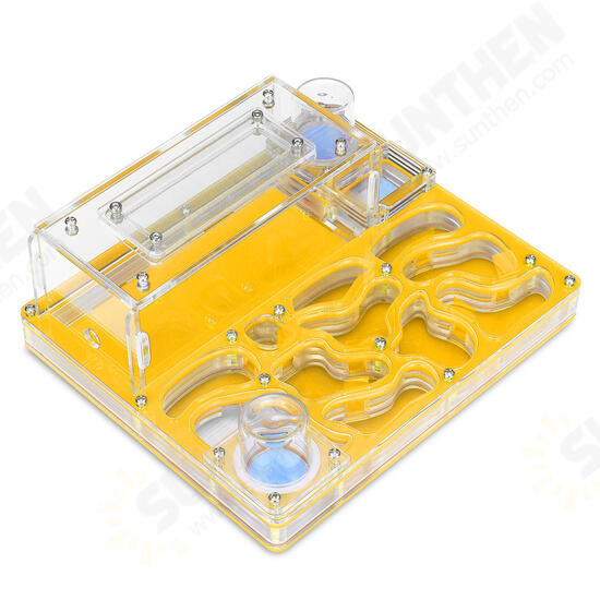 Acrylic Maze Ant Farm Works Workshop Live Habitat Feeding Nest Kids Educational Toys Gift