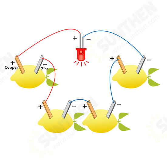 Fruit Battery Light Diode Science Kit Orange Potato Lemon Battery Physics Teaching Experiment