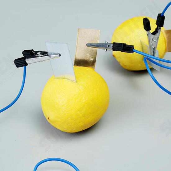 Fruit Battery Light Diode Science Kit Orange Potato Lemon Battery Physics Teaching Experiment