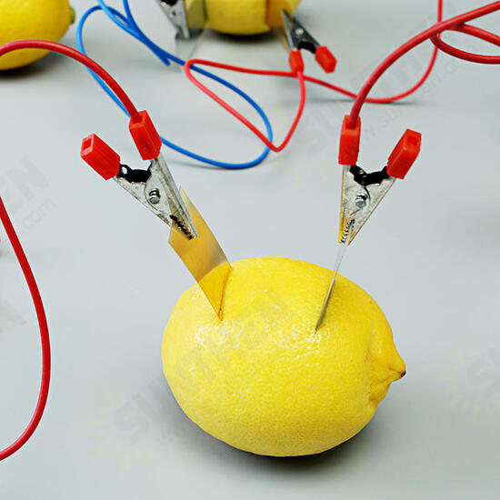 Fruit Battery Light Diode Science Kit Orange Potato Lemon Battery Physics Teaching Experiment