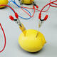 Fruit Battery Light Diode Science Kit Orange Potato Lemon Battery Physics Teaching Experiment