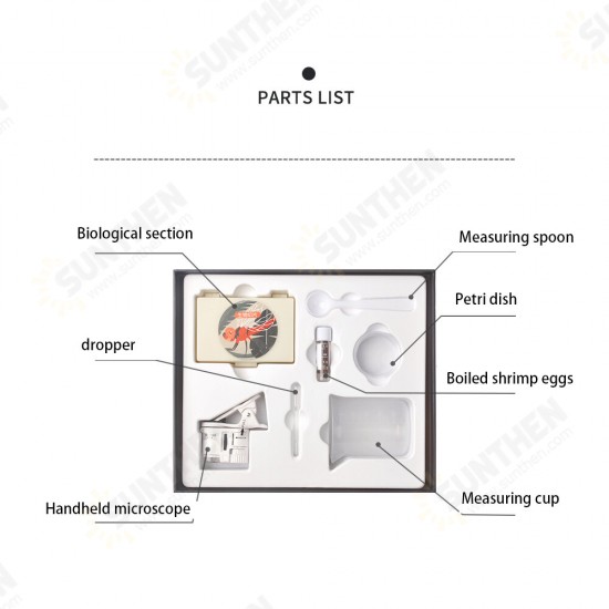 Micro-world Portable Magnifying Glass Set Science Experimental Observation Toy