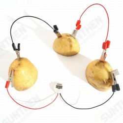 DIY Potato Powered Fruit Digital Clock Kit For Kids Children Science Learning Experience Toys DIY Potato Powered Fruit Digital Clock Kit For Kids Children Science Learning Experience Toys