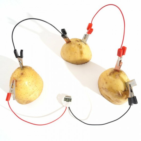 DIY Potato Powered Fruit Digital Clock Kit For Kids Children Science Learning Experience Toys