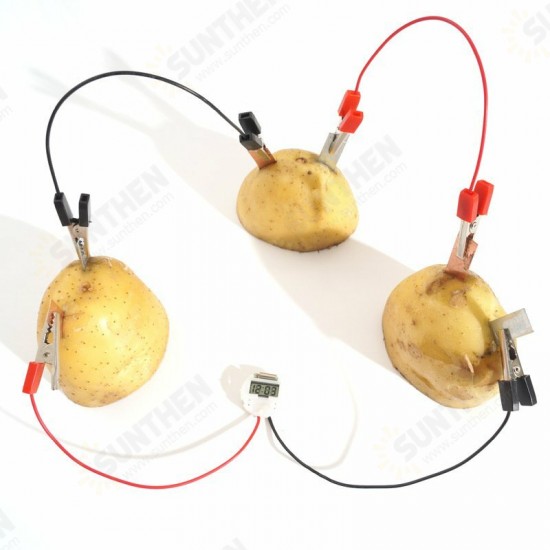 DIY Potato Powered Fruit Digital Clock Kit For Kids Children Science Learning Experience Toys