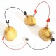 DIY Potato Powered Fruit Digital Clock Kit For Kids Children Science Learning Experience Toys