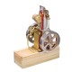 ETX Hit & Miss Gas Vertical Engine Stirling Engine Model Upgraded Version Water Cooling Cycle Engine Collection