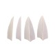 50pcs 4 Inch Arrow Feathers Fletching Left Or Right For Archery Bow Hunting Accessories