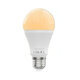 9W E27 WiFi Smart LED Bulb RGB C+W Dimmable Smart Life Tuya APP Lamp Work with AC110V/220V