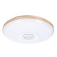 120W LED Ceiling Lamp Bluetooth Music Speaker Dimmable RGB Light Remote Control