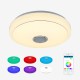 24/36/60W Smart LED Ceiling Light Lamp RGB bluetooth APP Music Speaker Dimmable 110-220V