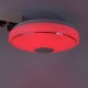33/40cm Diameter Wifi Smart Bluetooth LED Ceiling Light RGB 3D Sound Music Speeker Dimmable Lamp APP Remote