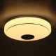 33CM 36W bluetooth Music LED Ceiling Light RGB Star Stereo Speaker Lamp With Remote Control AC170-265V/85-265V 33CM 36W bluetooth Music LED Ceiling Light RGB Star Stereo Speaker Lamp With Remote Control AC170-265V/85-265V