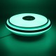 33CM LED Ceiling Lamp 3D Light with Remote Control bluetooth Speaker APP Smart Children's Room Study Decoration