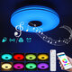 36W/60W 33CM Modern LED Music Ceiling Light RGB bluetooth Speaker Down Lamp APP+Remote Control 110-220V 36W/60W 33CM Modern LED Music Ceiling Light RGB bluetooth Speaker Down Lamp APP+Remote Control 110-220V