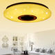 48W 102LED Dimmable RGBW Music Ceiling Light Starry Sky bluetooth APP Control