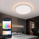 BW-CLT1 LED Smart Ceiling Light with Main Light and RGB Atmosphere Light 2700-6500K Adjustable Temperature APP Remote Control Optional&DIY Scene Mode