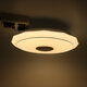 Bluetooth WIFI LED Ceiling Light 256 RGB Music Speeker Dimmable Lamp APP Remote